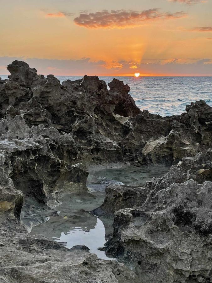 El Mundo Soleado Leilighet Santa Pola Eksteriør bilde